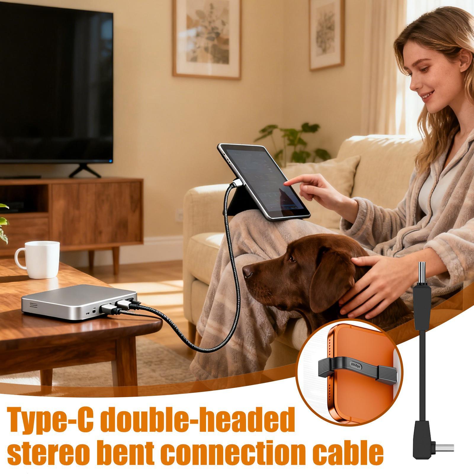 Cavo dati USB C Cavo di tipo C - Home Office Dictionary recensione e prezzo